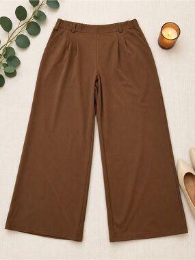 Brown Pleated Wide Leg Pull On Work Pants 2X Stretch